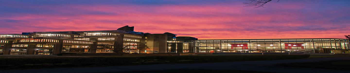 University of Massachusetts banner